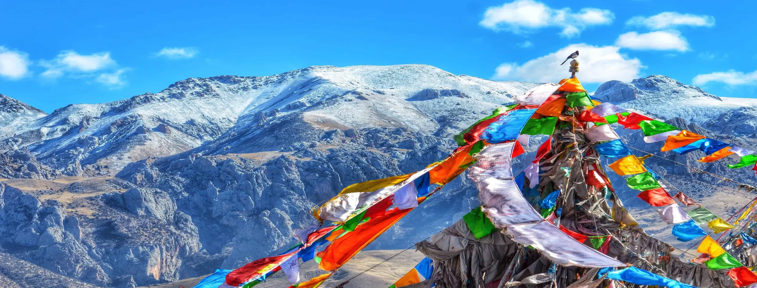 Image for Prayer Flag Trek